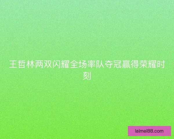 王哲林两双闪耀全场率队夺冠赢得荣耀时刻